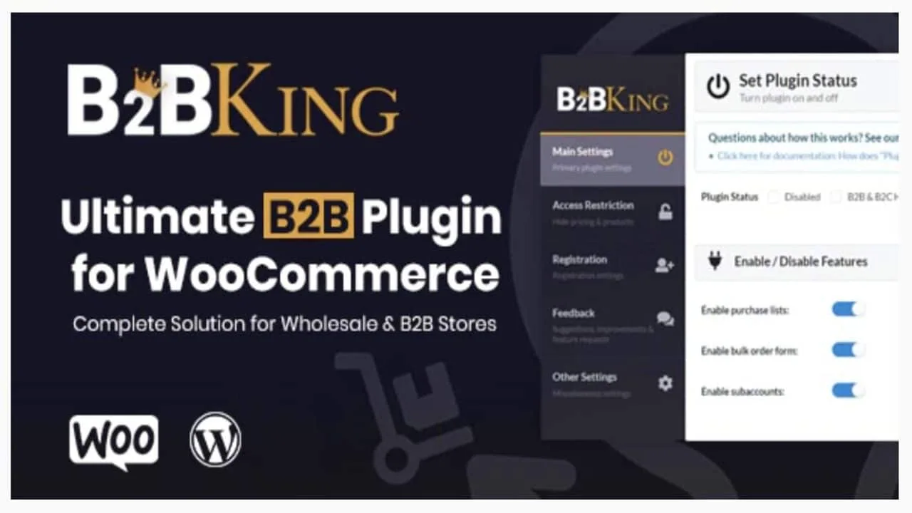 B2BKing PRO