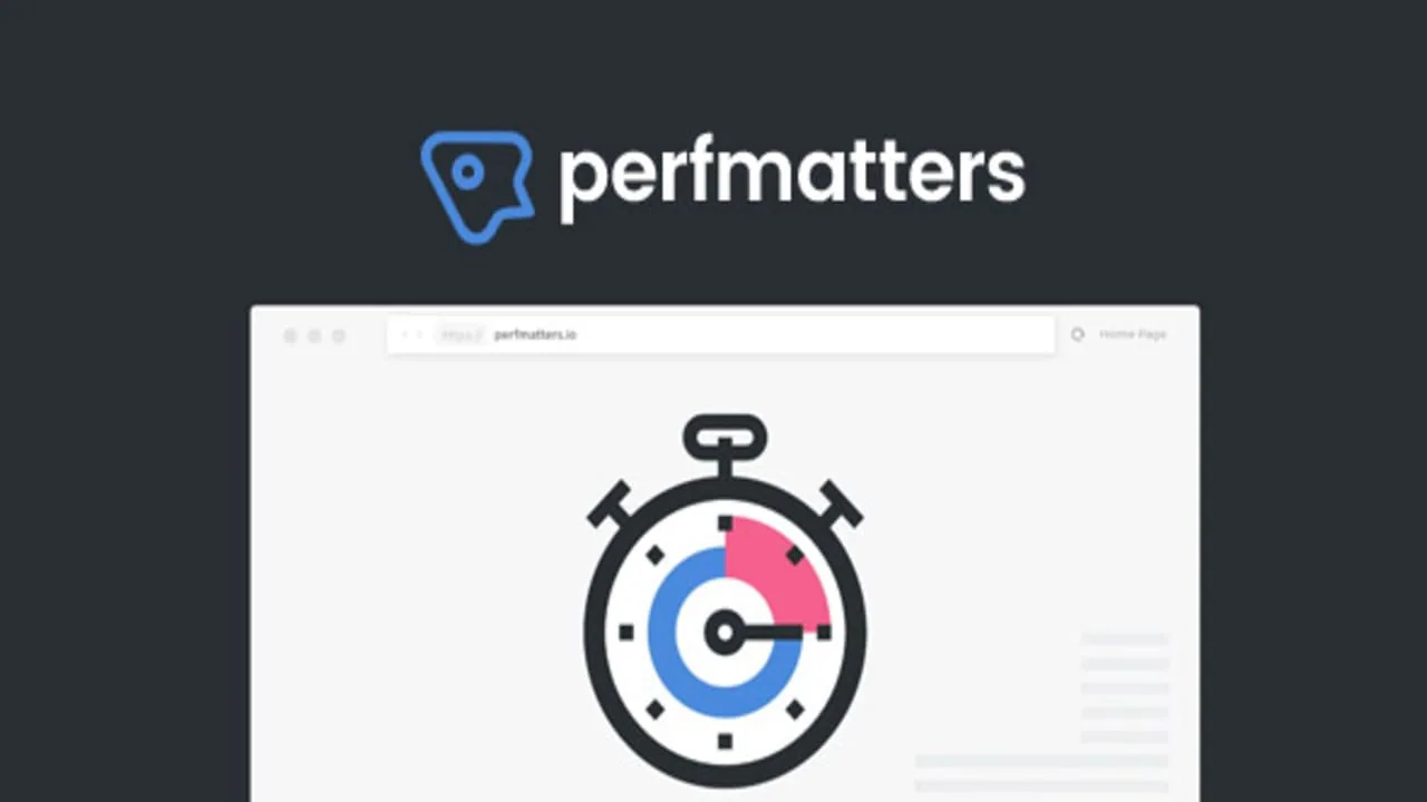 Perfmatters Pro