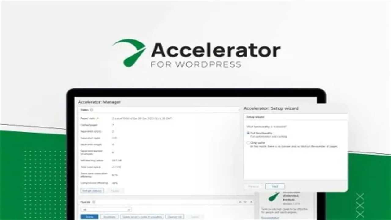 Seraphinite Accelerator ¡Acelera tu Sitio Web!