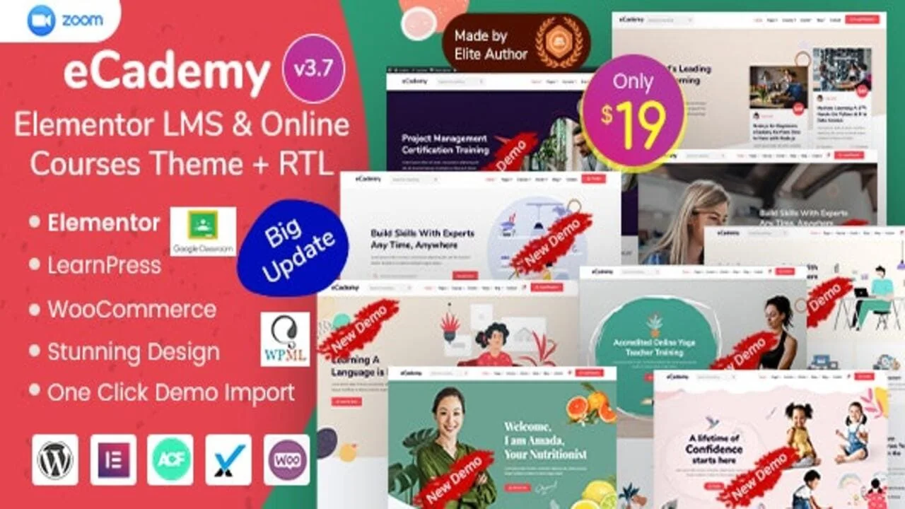 eCademy Theme Pro