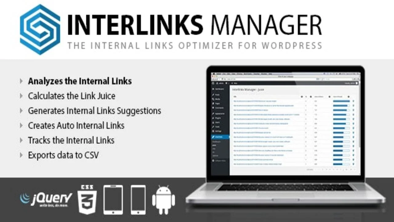 Interlinks Manager Pro